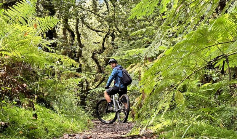 Mountain Bike Tour along the Levada da Serra, in Madeira
