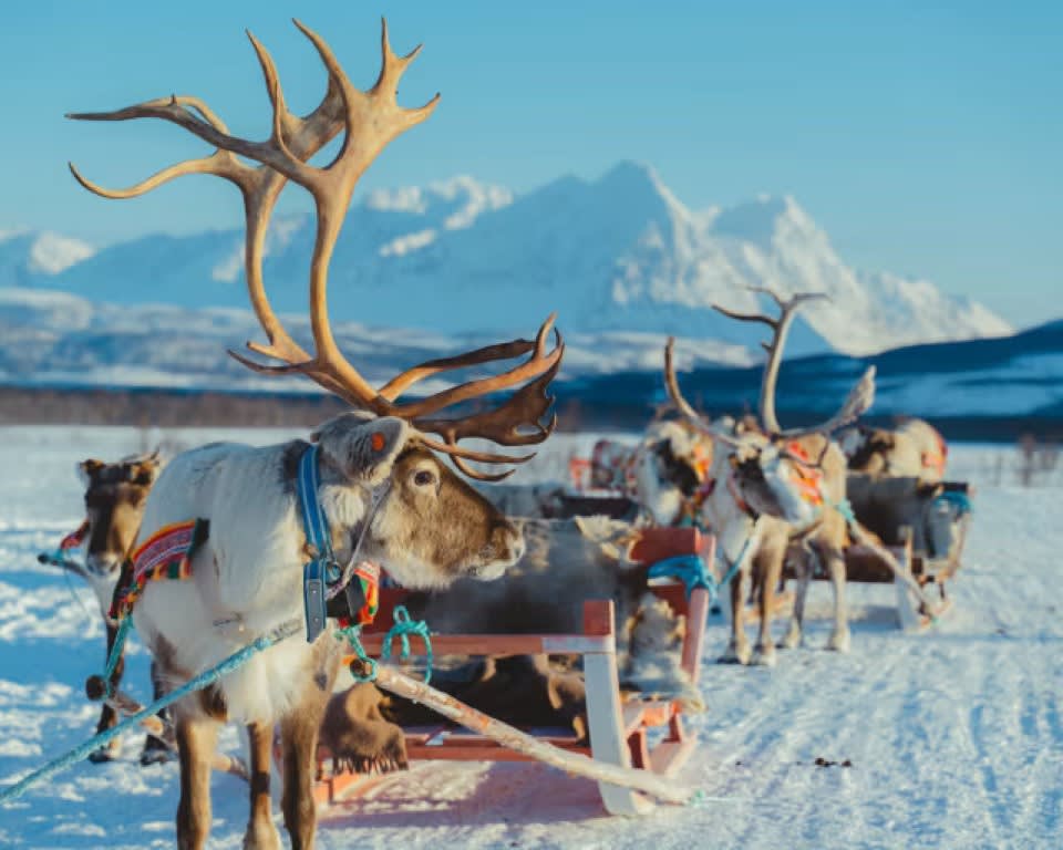 Cultura e historia sami de Tromsø 