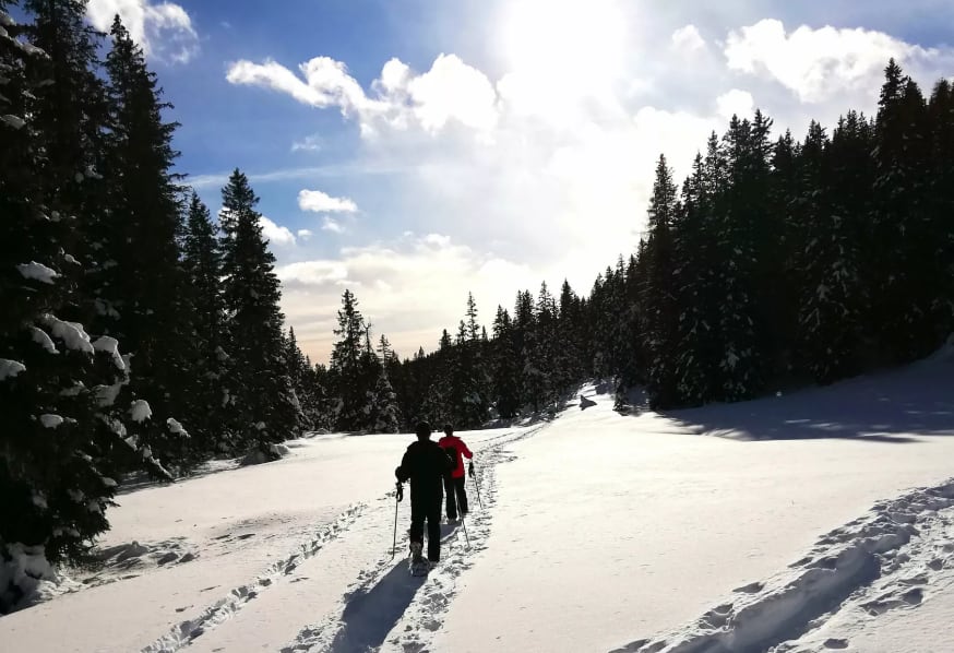 Raquetas de nieve en Madonna di Campiglio