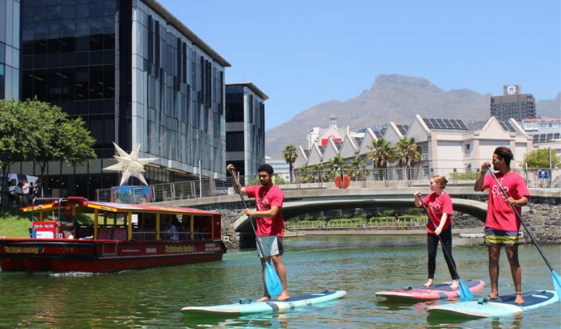 Stand up paddle Alquiler en Ciudad del Cabo
