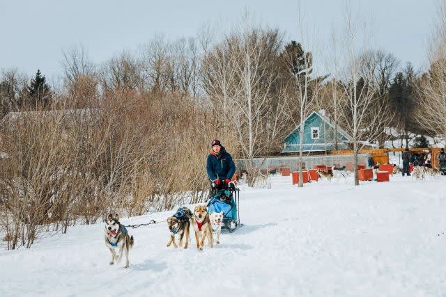 Dog sledding