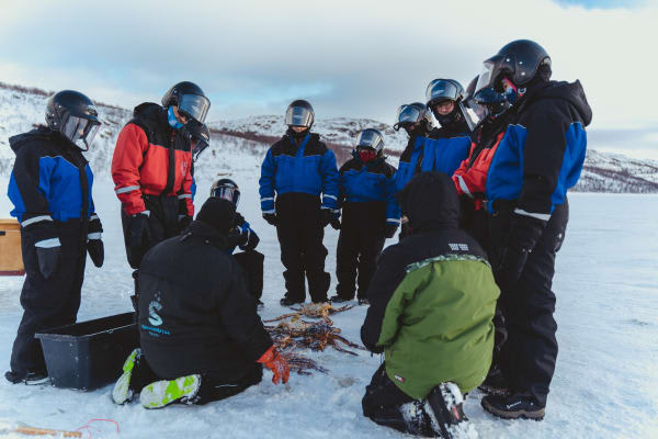 Königskrabben-Safari von Kirkenes aus