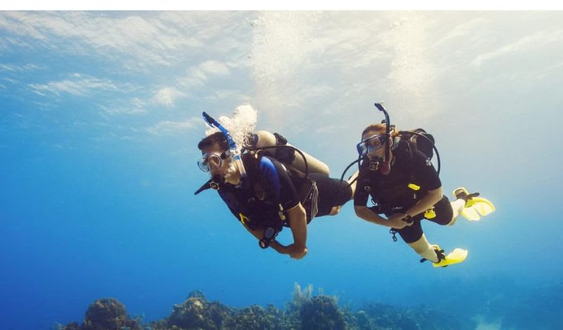 Discover Scuba Diving from the Shore in Funchal, Madeira