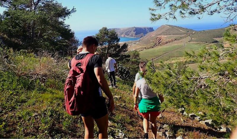Guided Hike to Pico Ana Ferreira in Porto Santo, Madeira