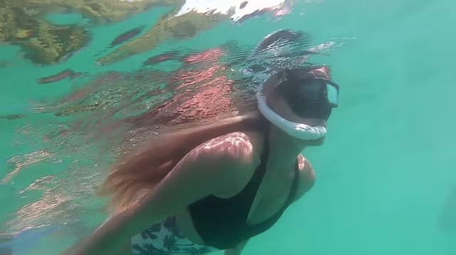 Snorkeling sur le lac d'Annecy