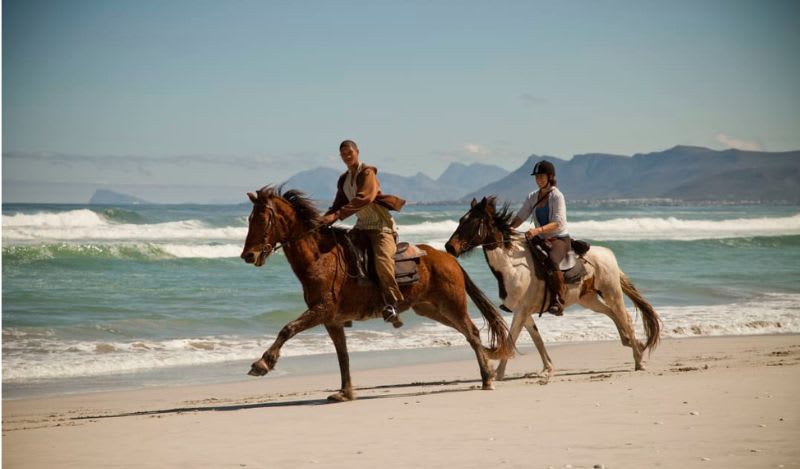 Horseback Riding on the Beaches of the Walker Bay Nature Reserve near Hermanus