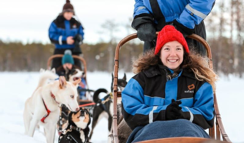 Beginner Self-drive Dog Sledding Safari in Ylläs
