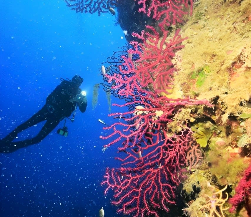 Scuba Diving in the Aeolian Islands