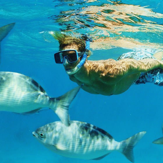 Snorkelling on Mononaftis beach