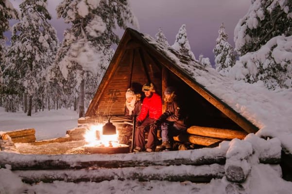 Nordlichter und Lapplandgrillen in der Nähe von Rovaniemi