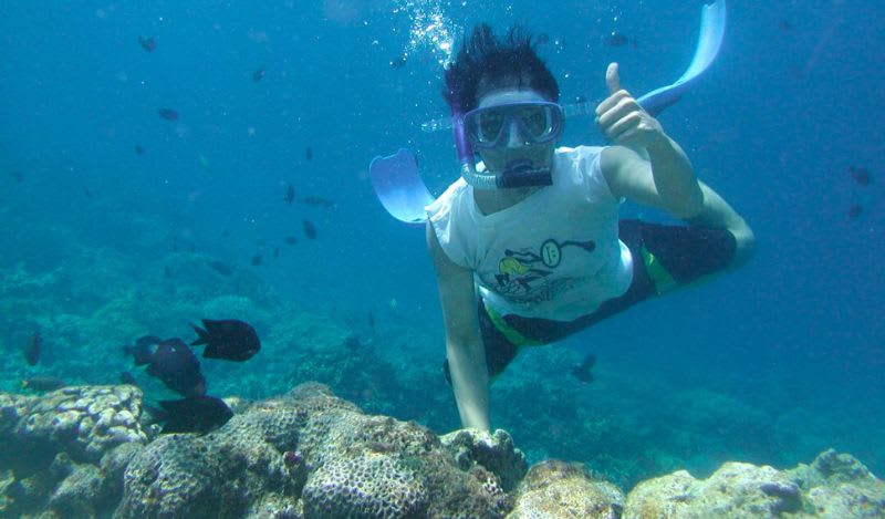 Snorkeling Excursion around Madeira