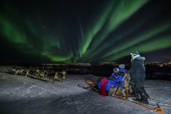 Schlittenhundesafari von Kirkenes aus unter den Nordlichtern