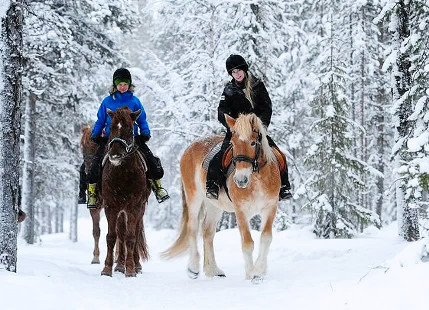 Paseos a caballo en Levi