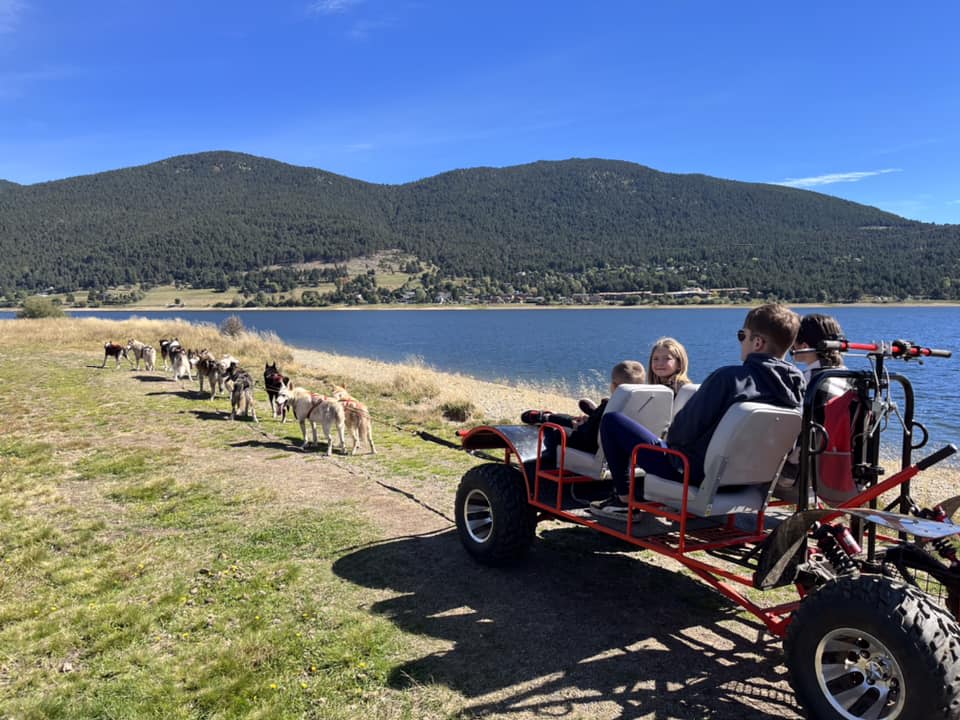 Cani-Karting; Drlyand Mushing