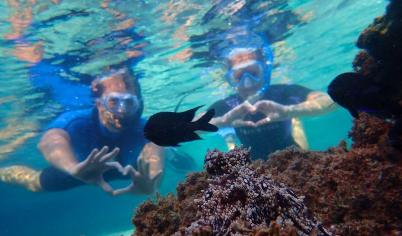 Snorkelling Excursion in Porto Santo, Madeira