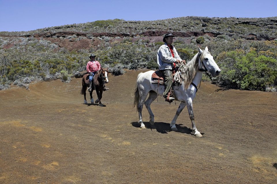 horse riding at Piton de la Fournaise