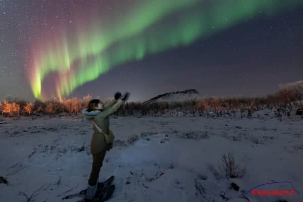 Schneeschuhwanderung zu den Nordlichtern von Kilpisjärvi aus