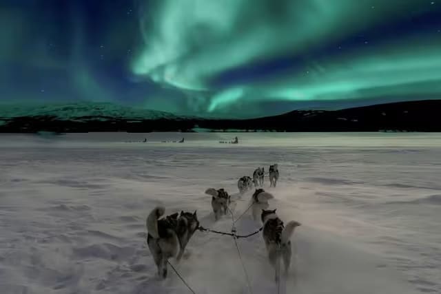 Aurora Boreal Trineo de perros en Rovaniemi