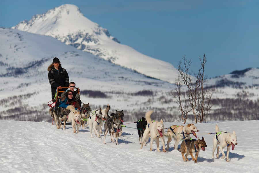 Overnight Aurora Camp and Dog Sledding in Tromsø