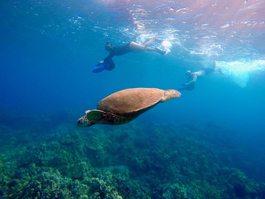 Guided snorkelling with underwater scooter at Mononaftis beach 