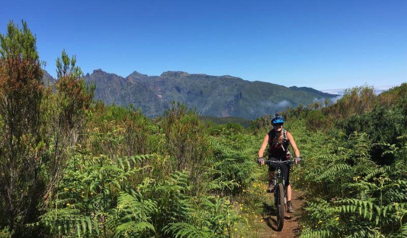 Mountain Bike excursion from Poiso to Camacha, Madeira