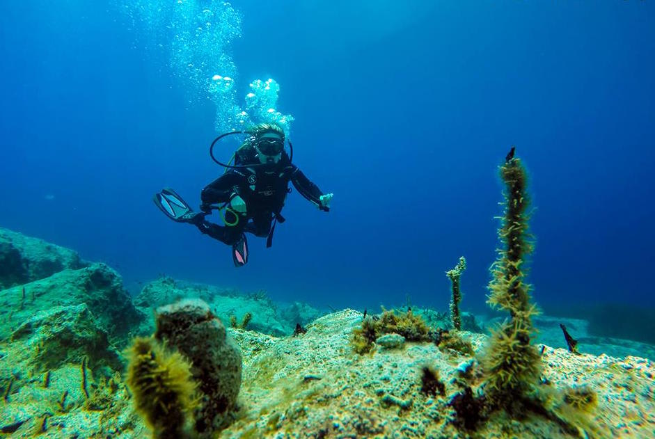 Plongée sous-marine en Céphalonie