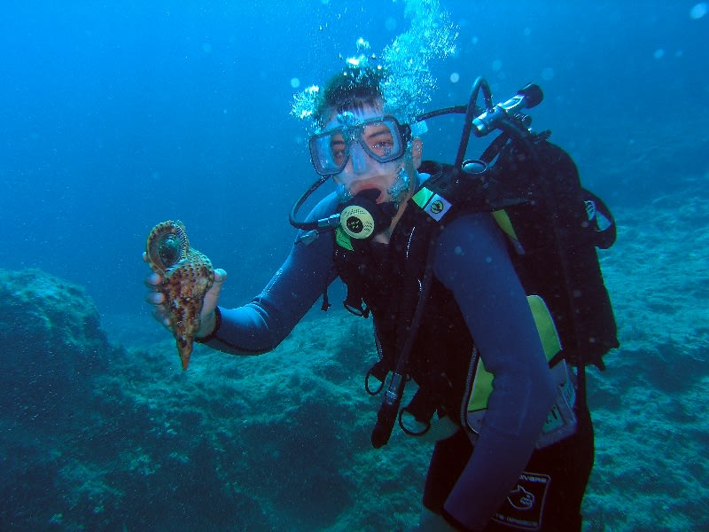 Plongée sous-marine à Zakynthos