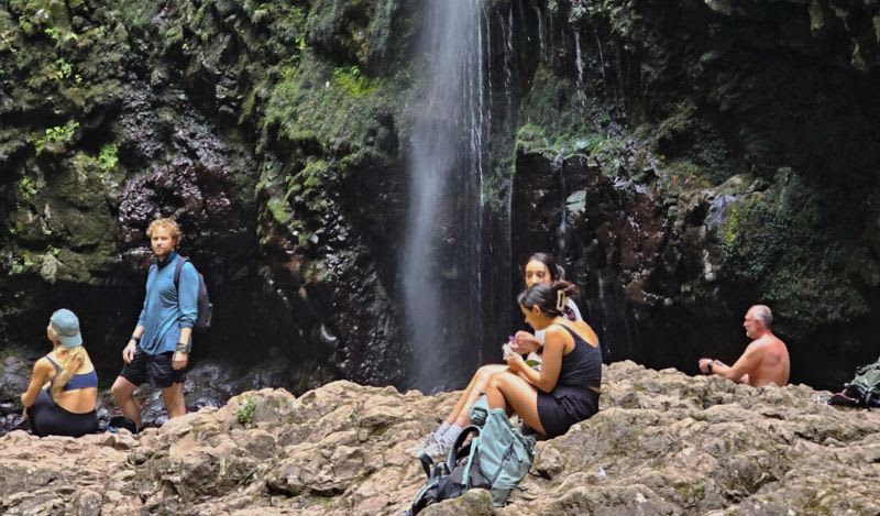 Guided hiking excursion along Levada do Caldeirão Verde (Ponta Delgada), Madeira