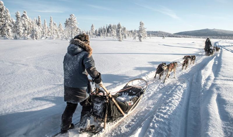 Hundeschlittenfahrten in Kiruna