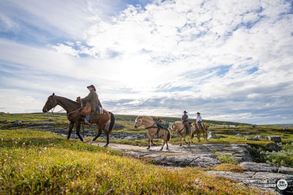 A day's cowboy experience on a Norwegian ranch in Alta