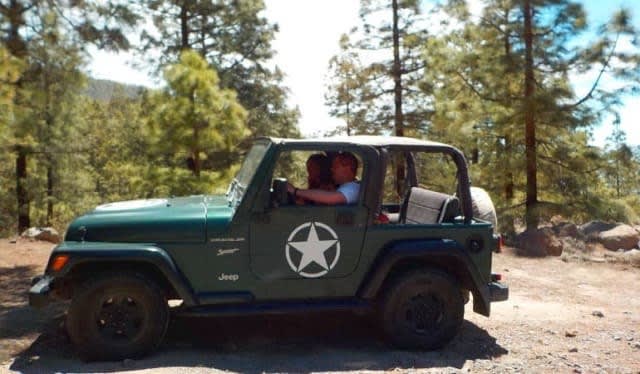 Jeep in forest