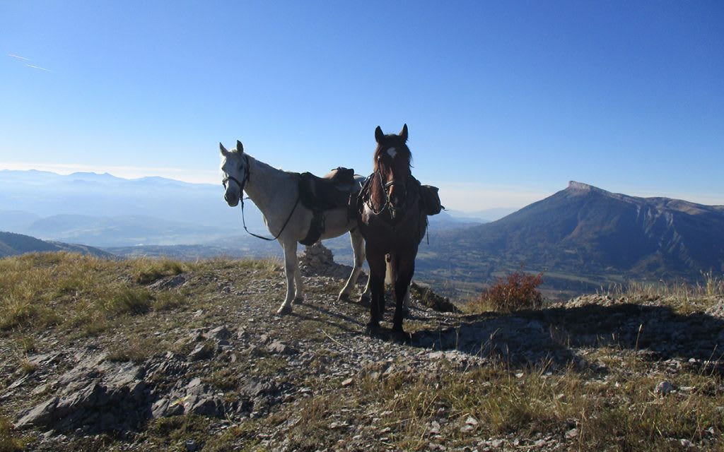 Balade à cheval