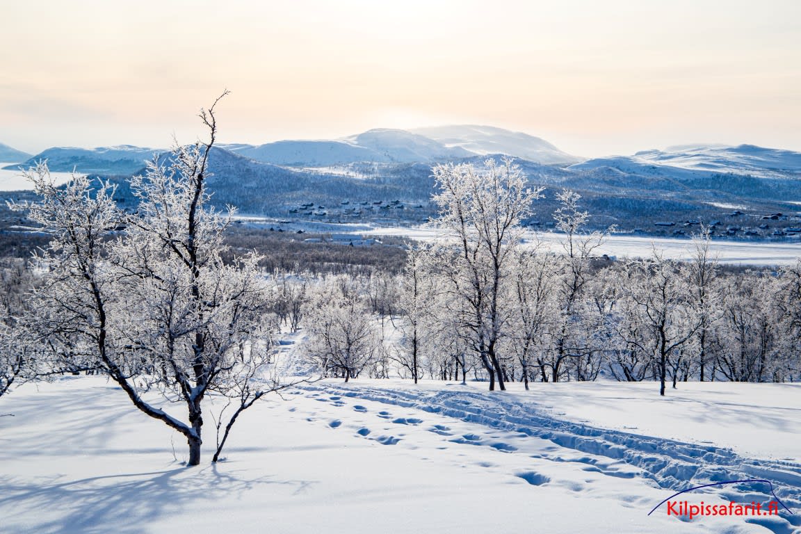 Kilpisjärvi