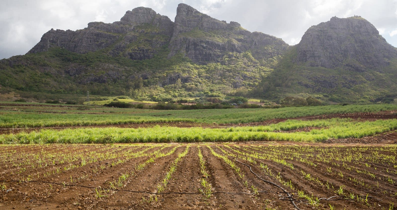 Souillac, Mauritius