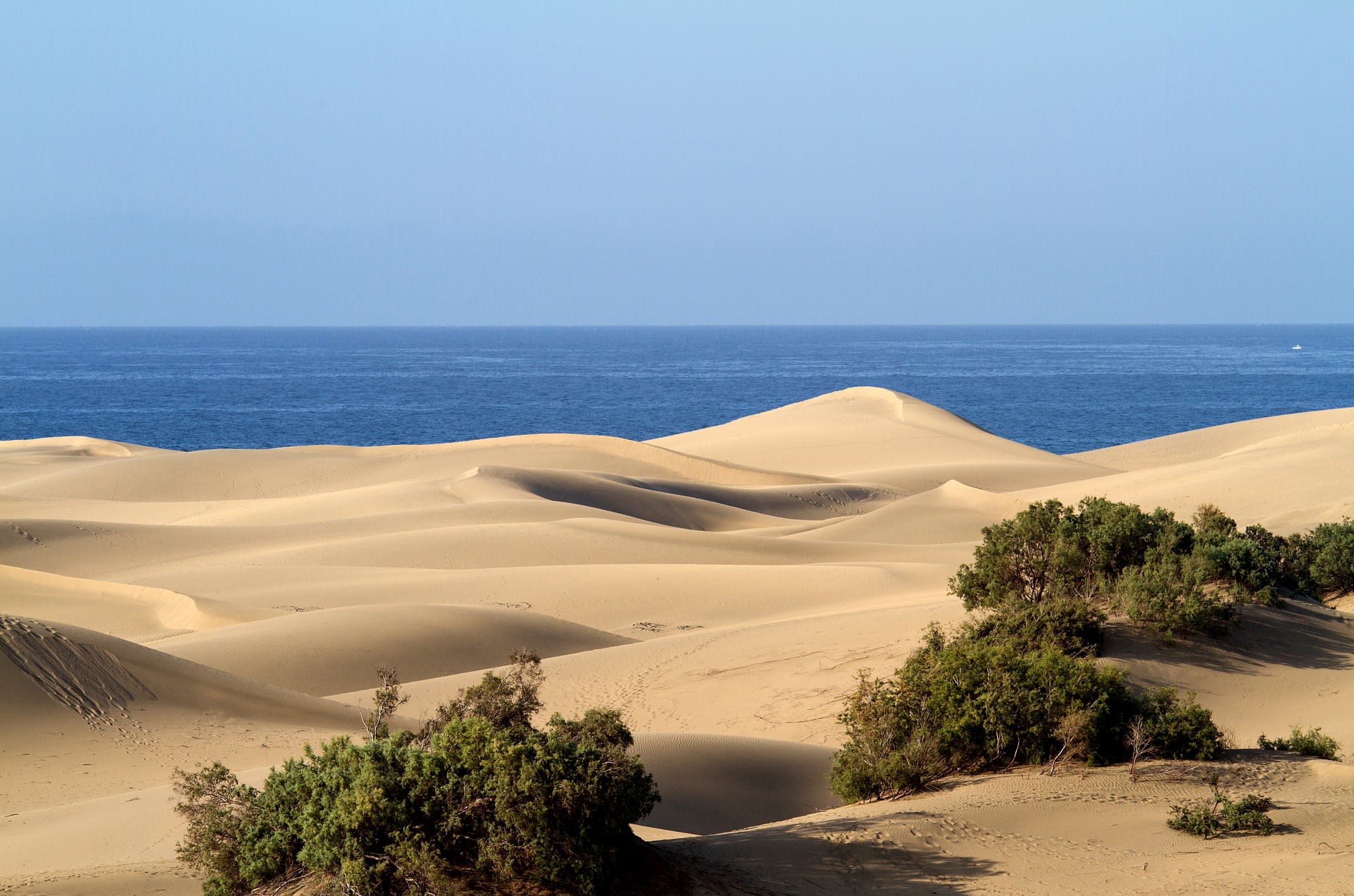 Maspalomas, Grande Canarie