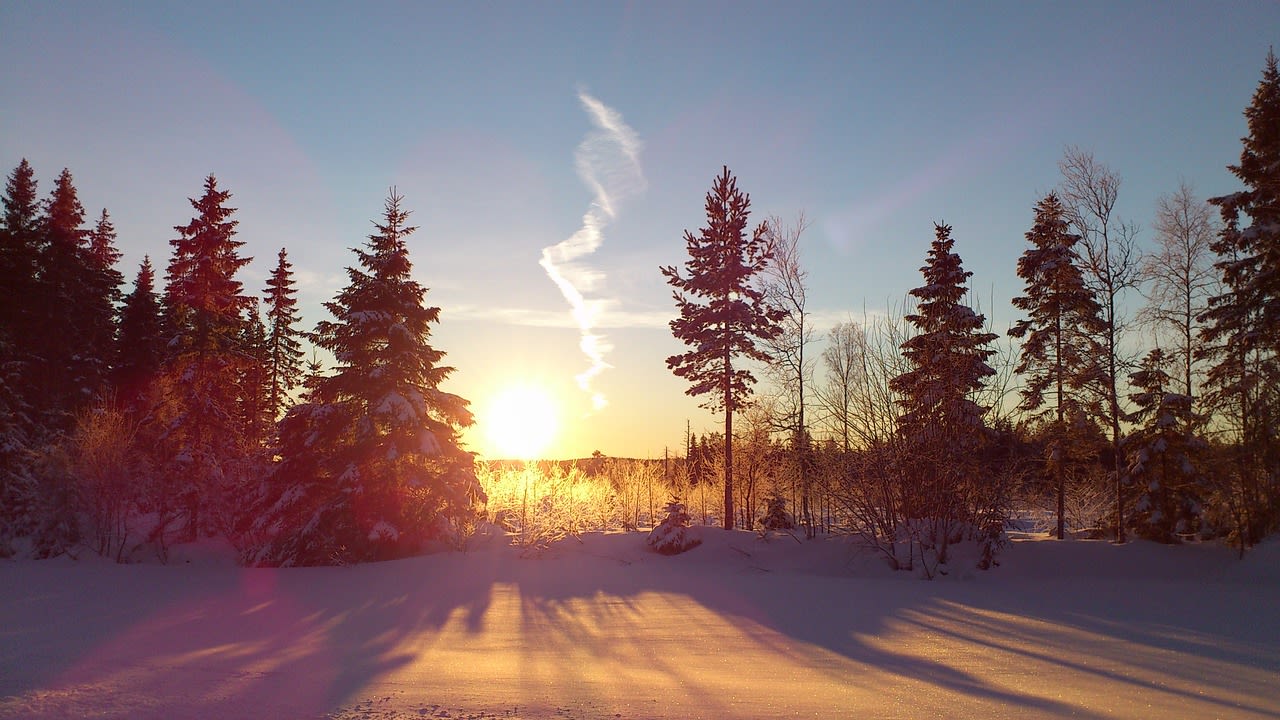 Ekorrsele, Västerbotten