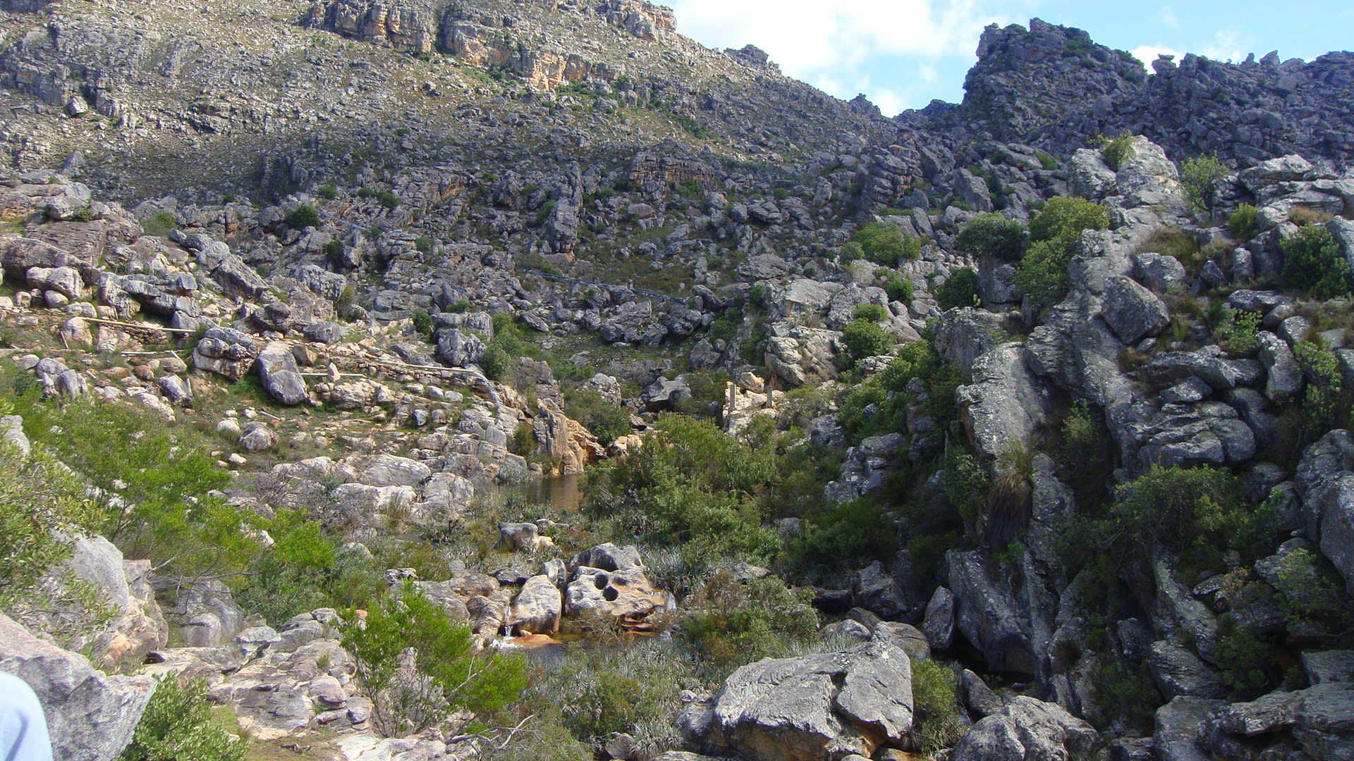 Ceres Mountain Fynbos Naturreservat