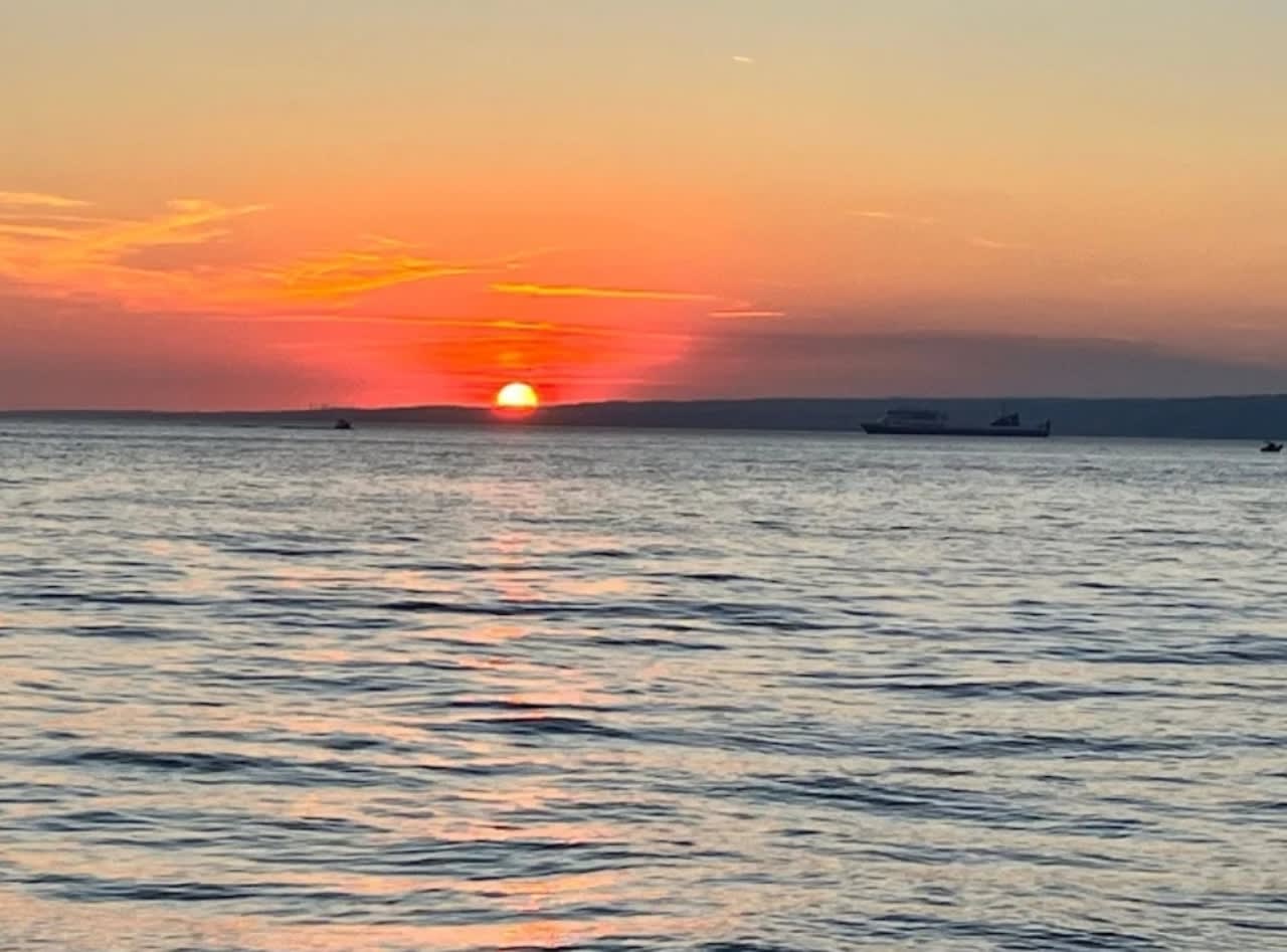 Excursion en bateau aux îles du Frioul depuis le Vieux-Port de ...
