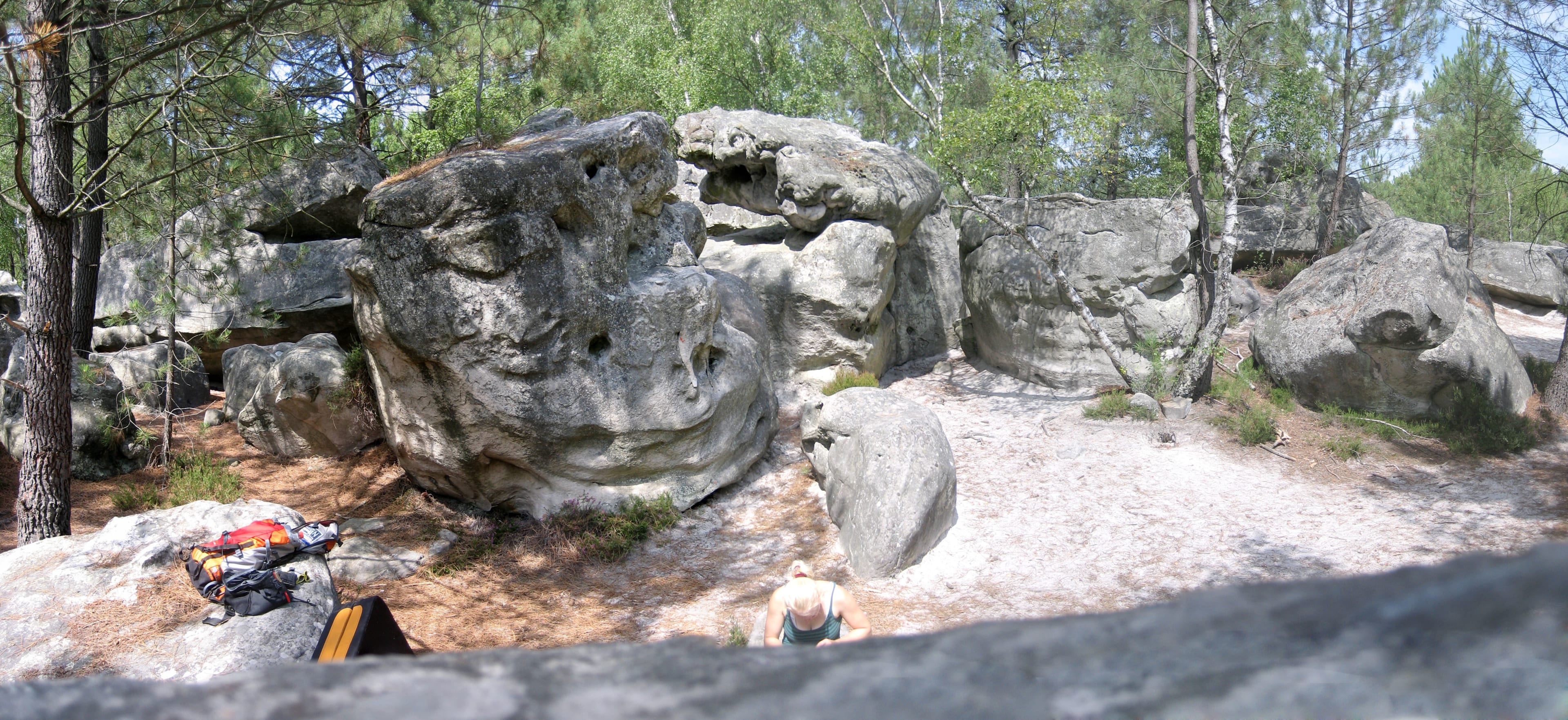 Fontainebleau-Wald