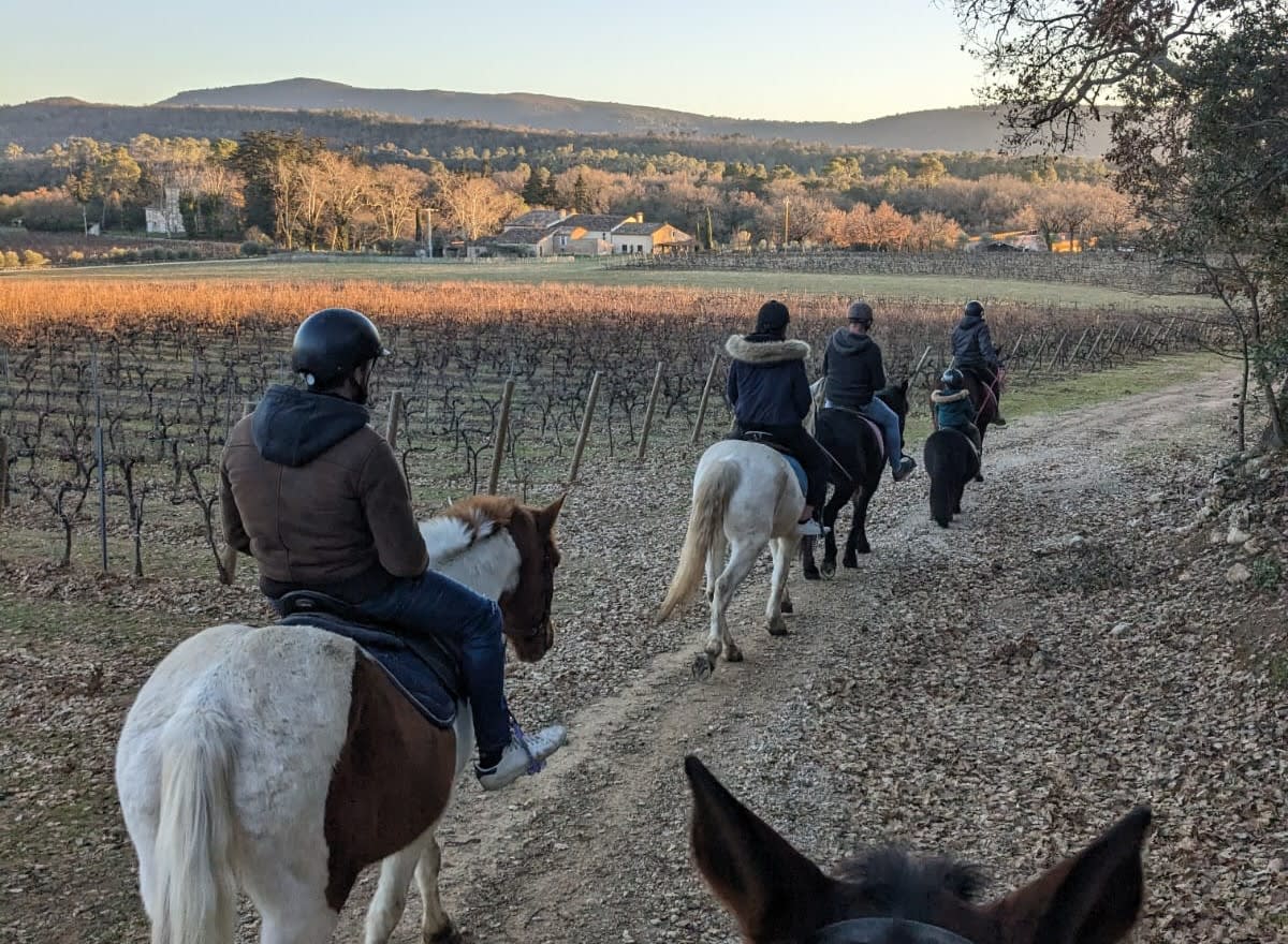 Horseback Ride with Wine Tasting + Local Appetizers Horseback Riding in Provence Verte in