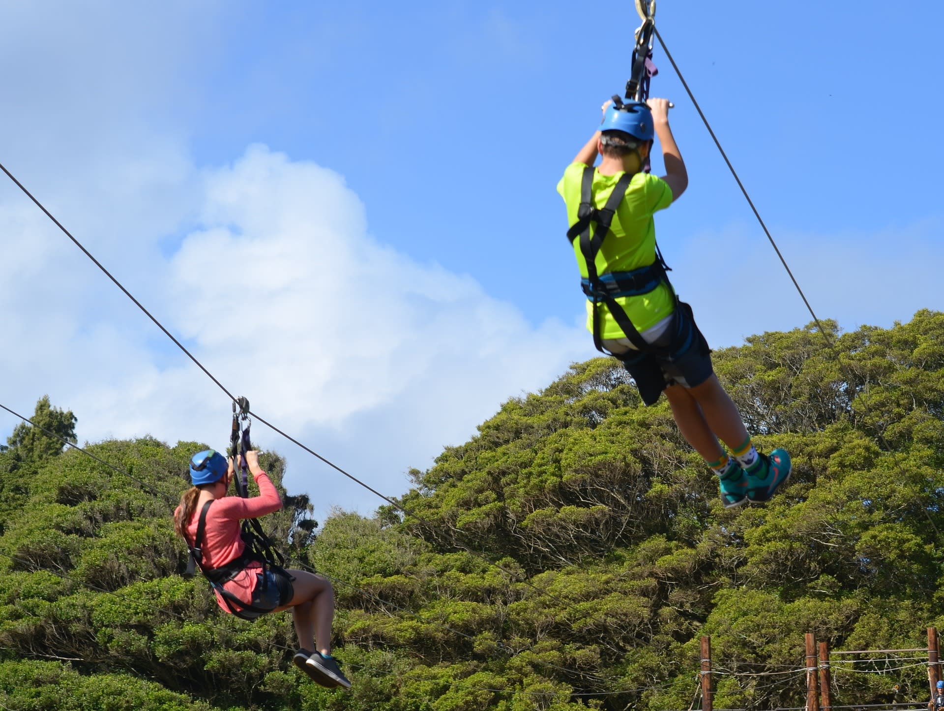 Canopy Tours