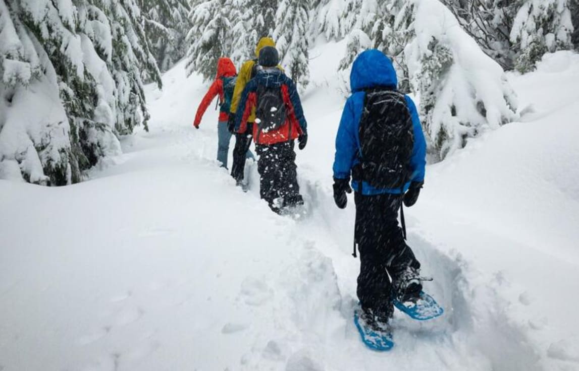 Raquettes à neige