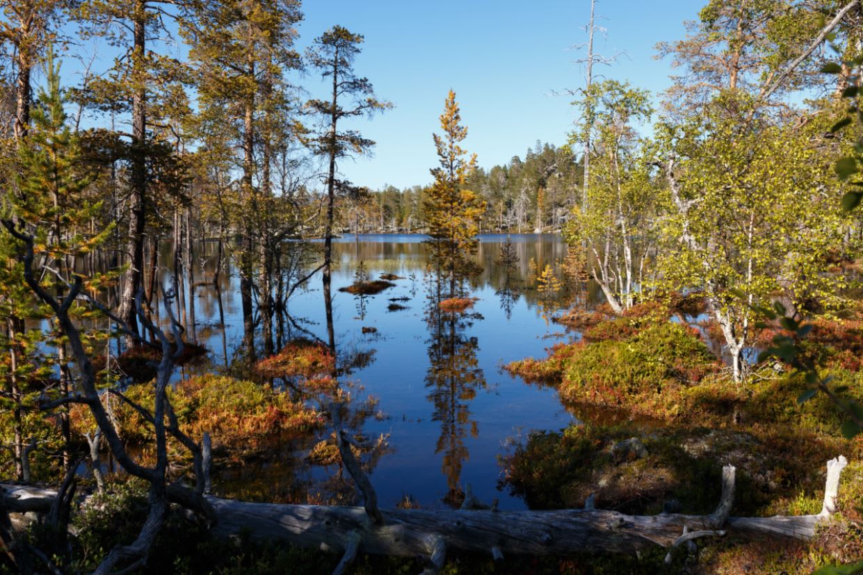 Femundsmarka National Park