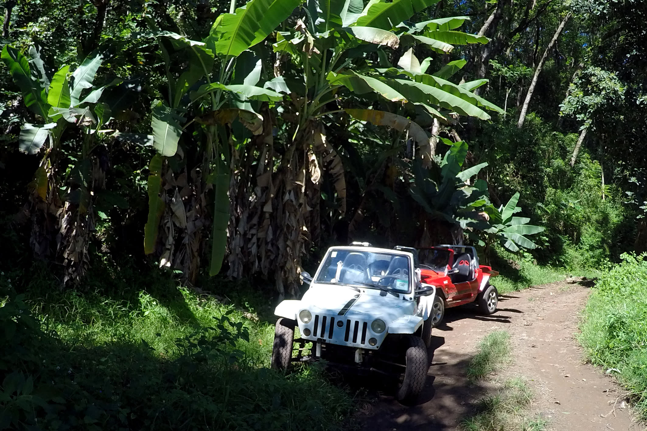 4x4 / Jeep Tours