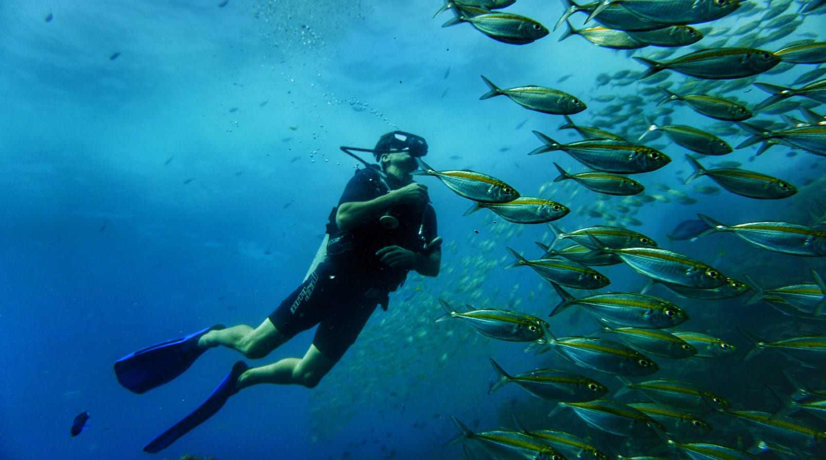 Scuba diving in Paros