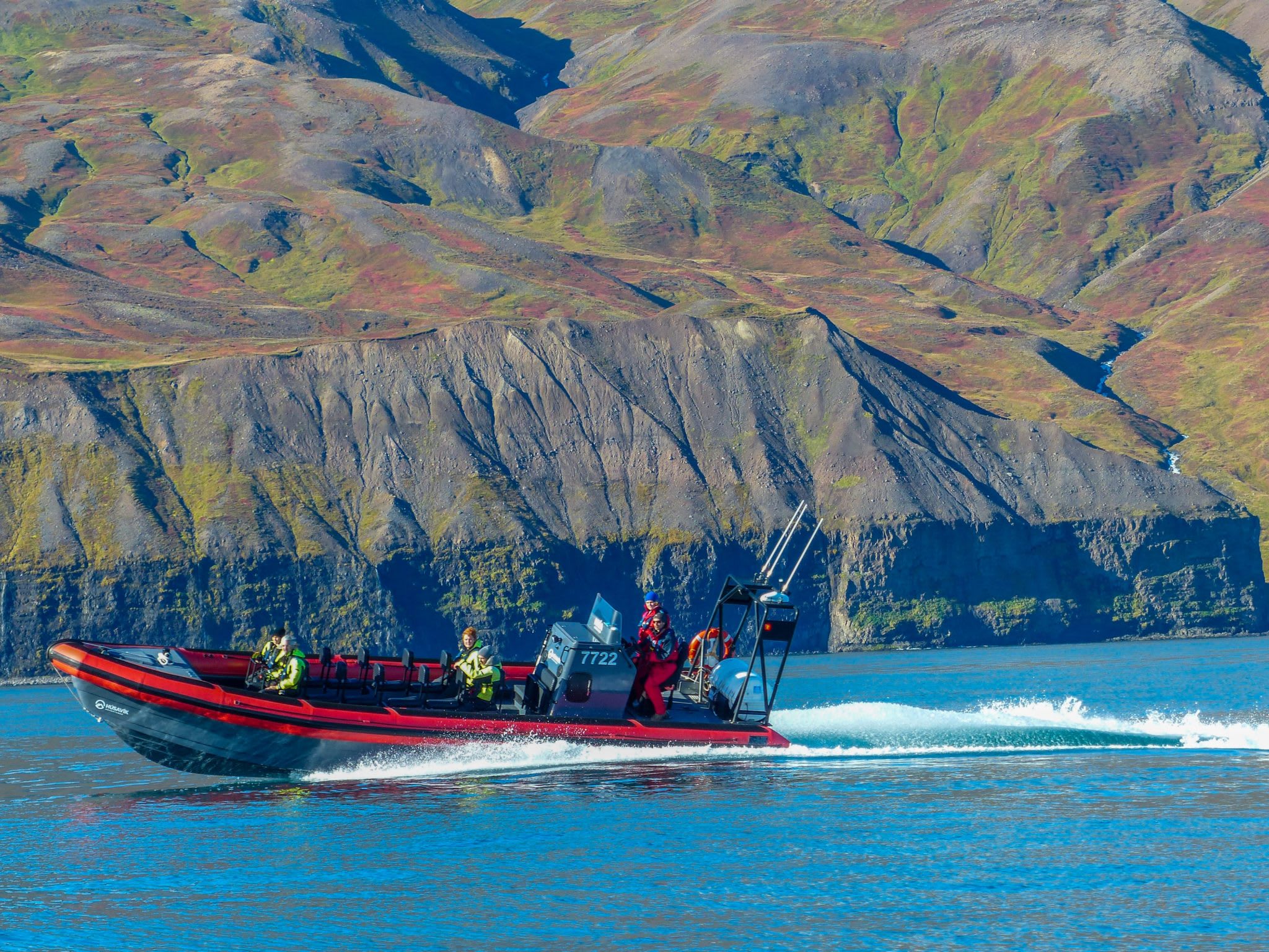 Whale watching boat tour from Husavik