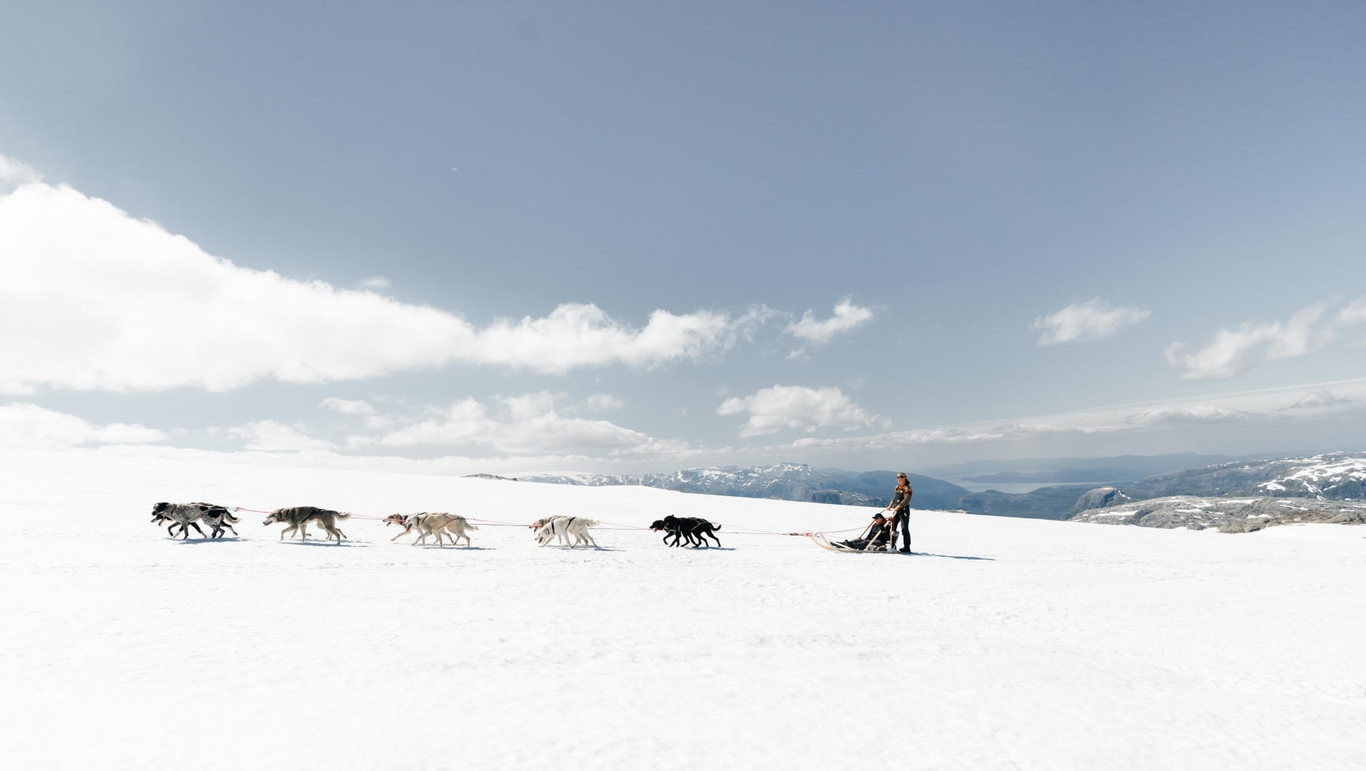 Dog Sledding in Tromsø