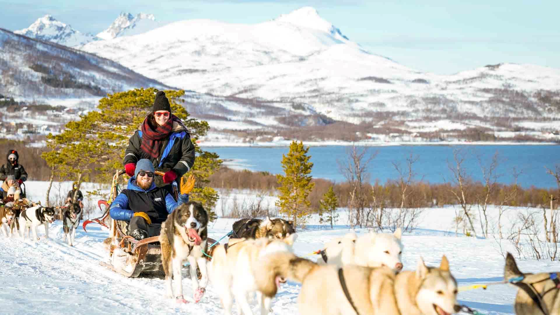 Dog sledding in Tromsø