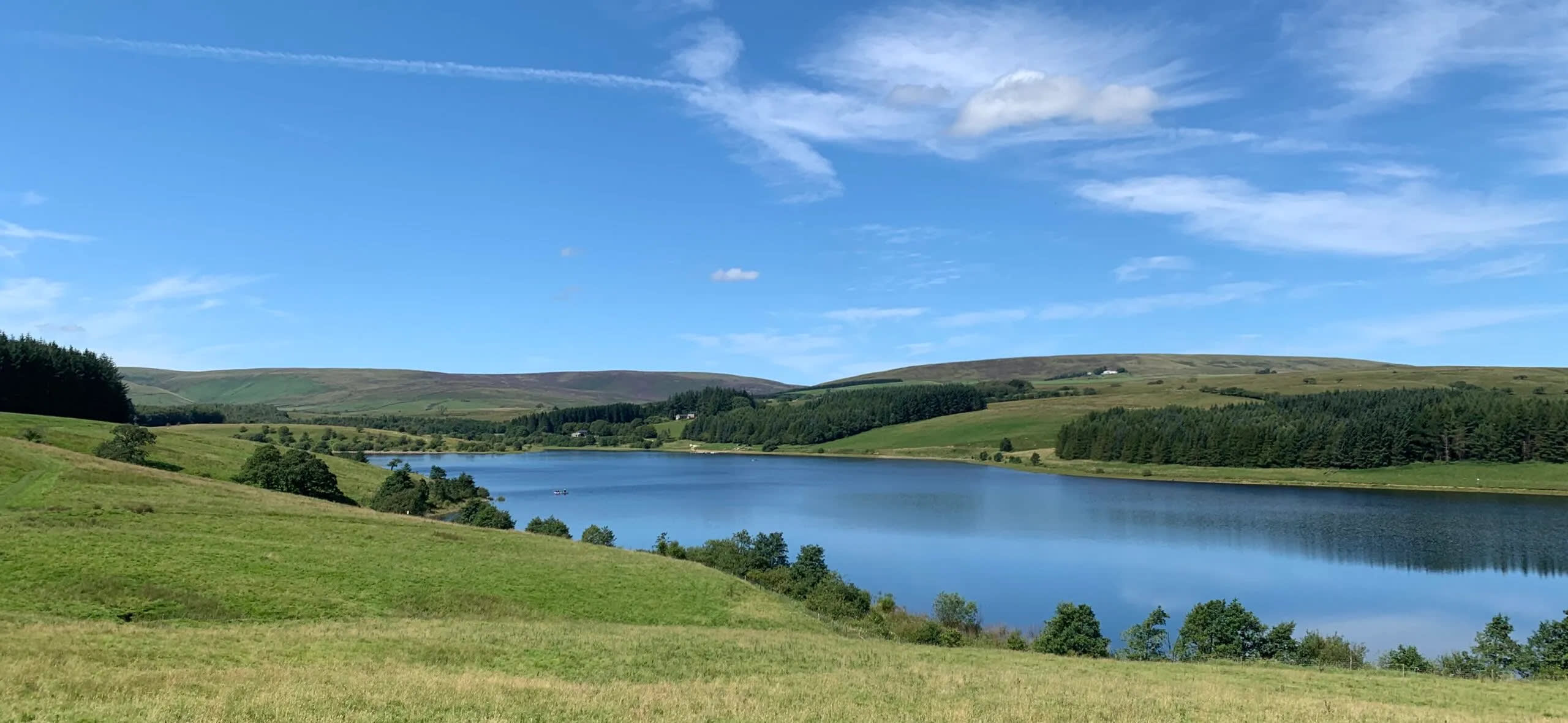 Bosque de Bowland