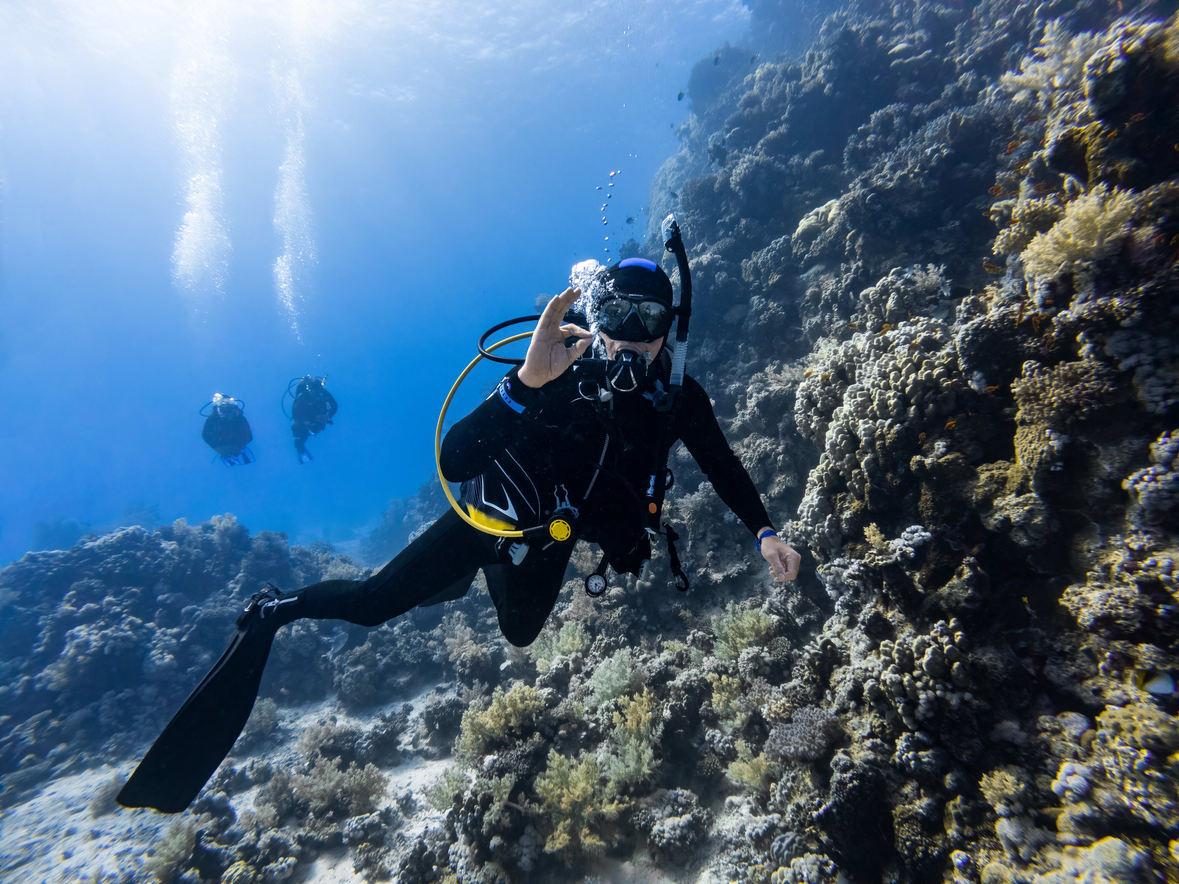 Scuba Diving